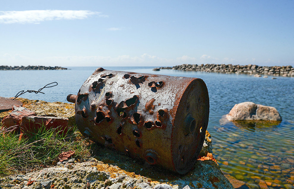 Volunteers publish book on Vilkitsky Island cleanup operations