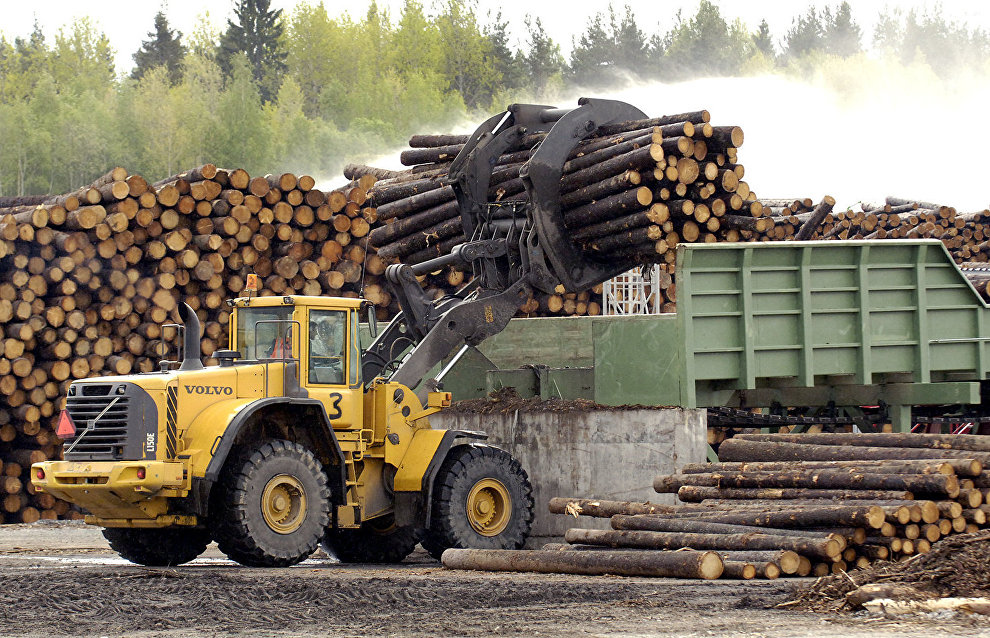New timber mill to open in Arkhangelsk Region in 2019