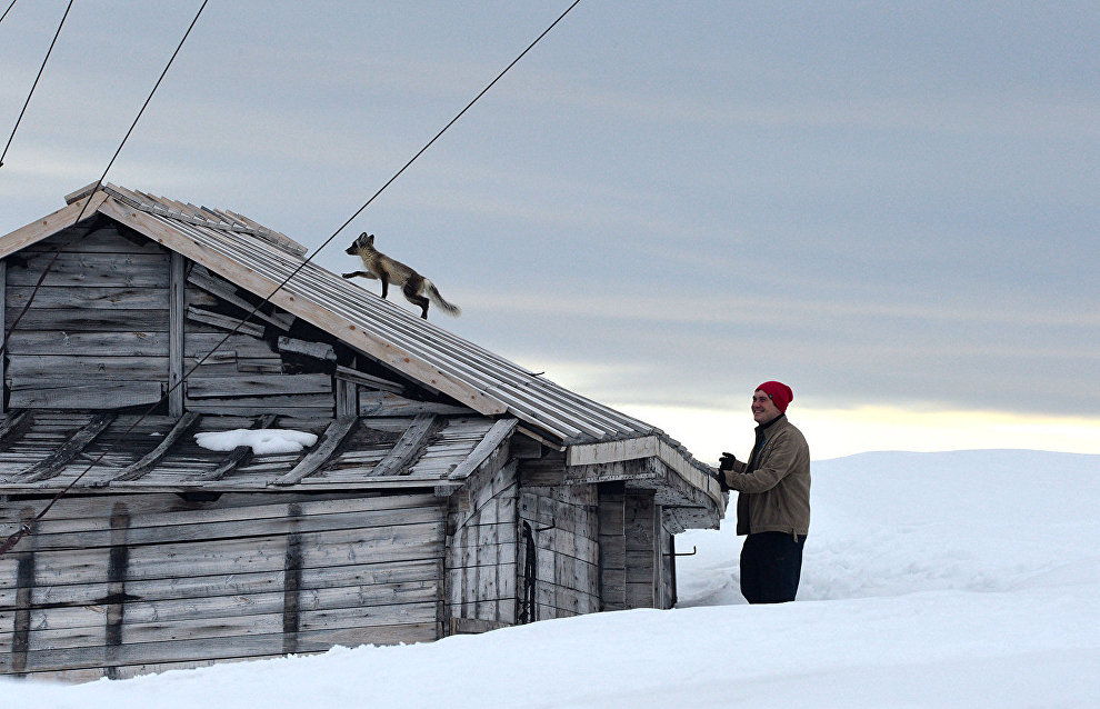 Tikhaya Bay polar station project