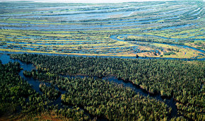 Natural Resources Ministry approves plans to create specially protected areas in the Nenets Autonomous Area