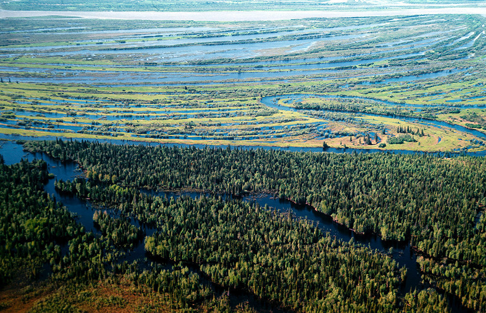 Natural Resources Ministry approves plans to create specially protected areas in the Nenets Autonomous Area