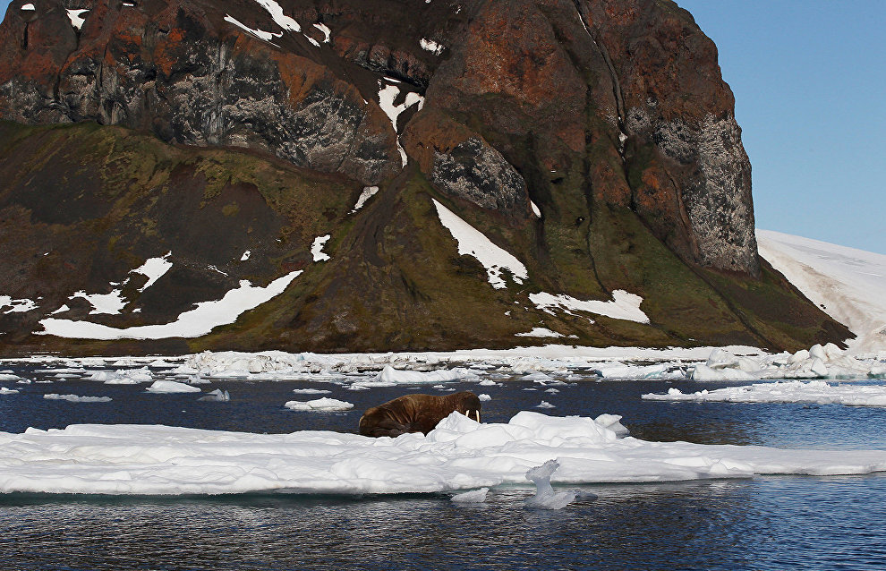 Russian Arctic research and education center to unite three Arctic regions