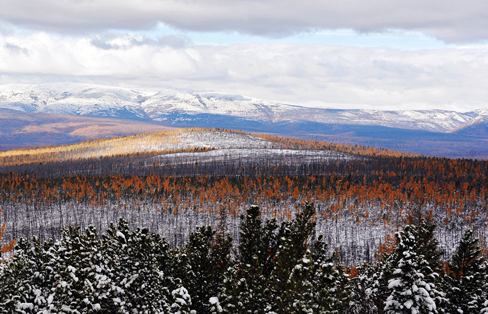 Republic of Sakha (Yakutia) could see new Novosibirsk Islands sanctuary