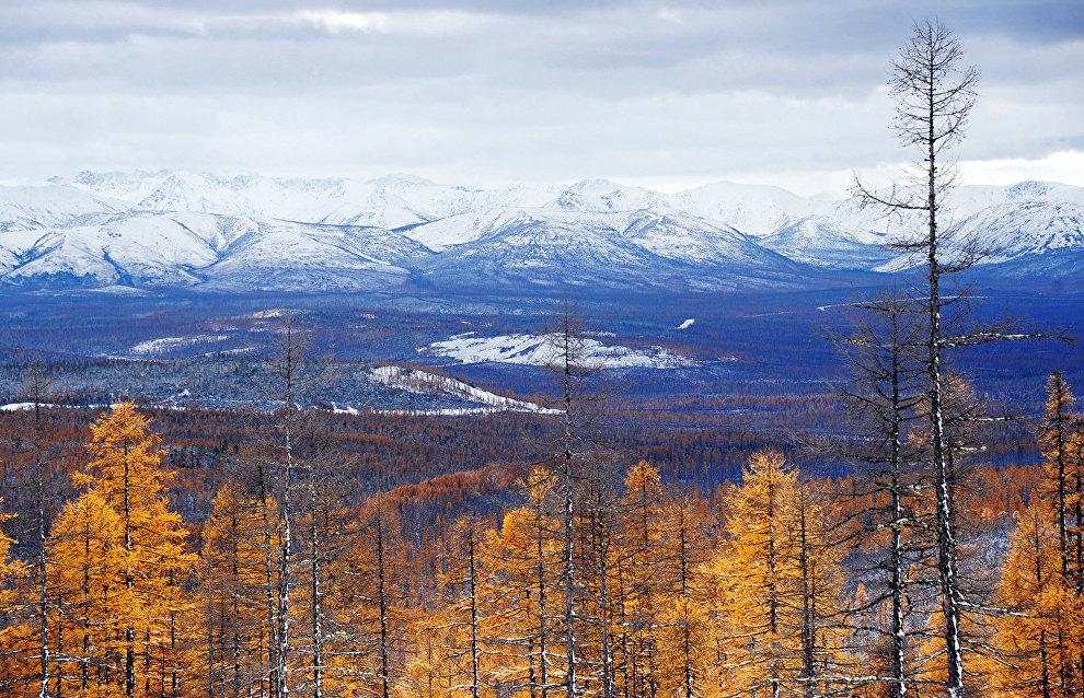 Krasnoyarsk Territory government approves strategy to develop northern and Arctic territories until 2035