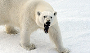 A Russian Arctic National Park expedition