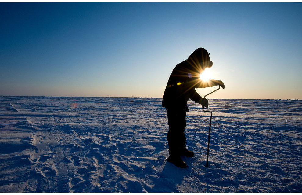 St. Petersburg universities and scientific institutes received over 300 million rubles for Arctic research in 2022