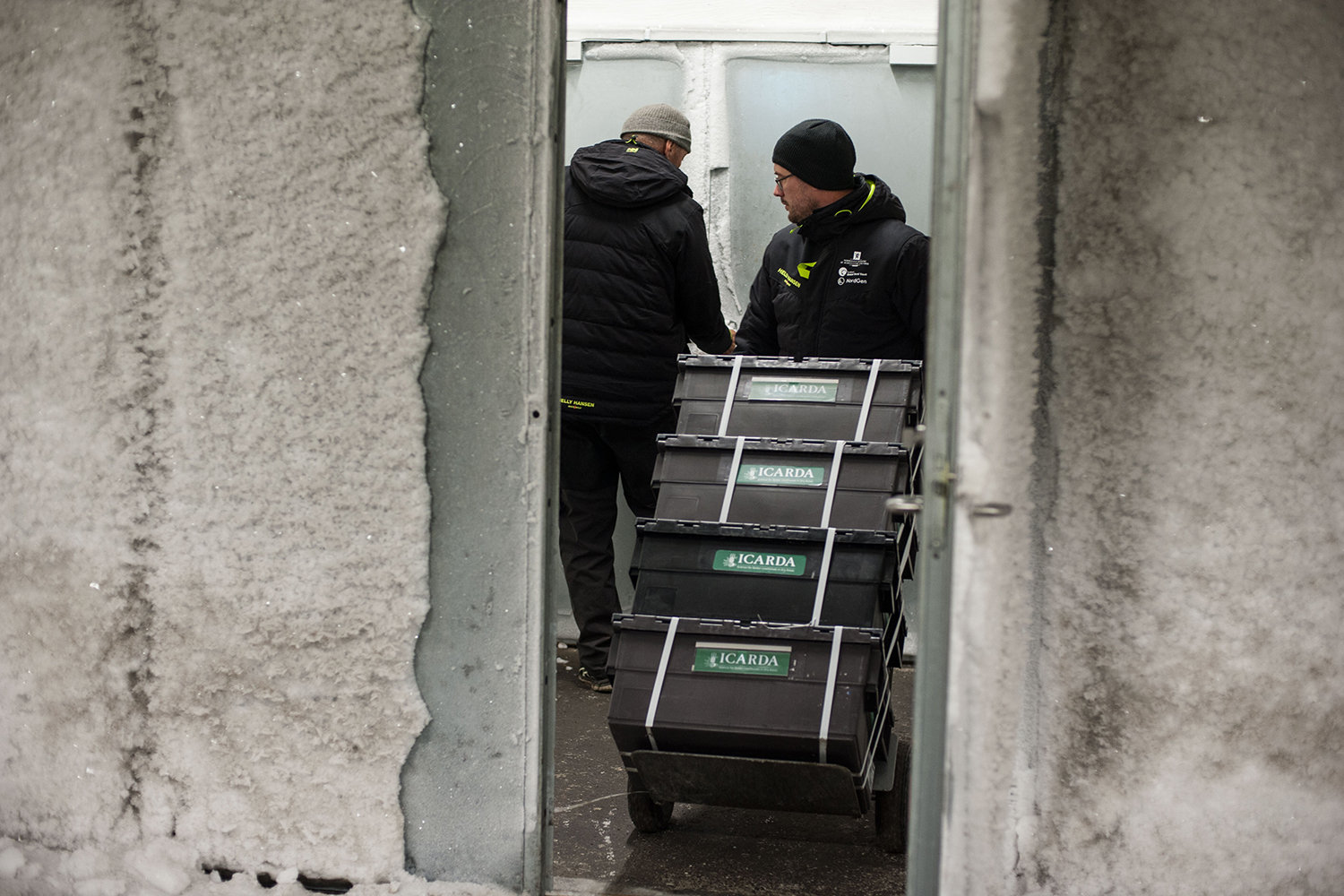 Doomsday Vault
