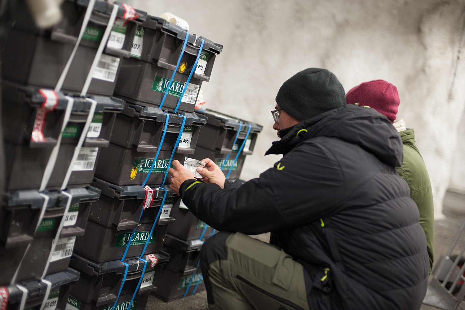 Doomsday Vault
