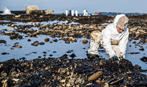 IMO discusses ban on using heating oil in the Arctic