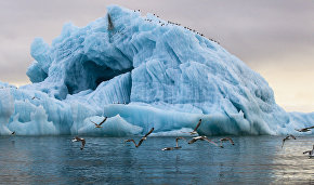 Igor Shumakov: New Arctic islands being revealed by melting glaciers