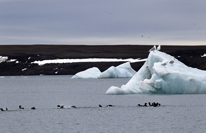 Russian researchers measure ice in the Arctic and Antarctic