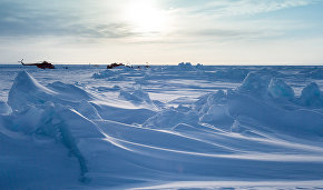 Fetisov to involve Jim Carrey and Leonardo di Caprio in North Pole hockey match