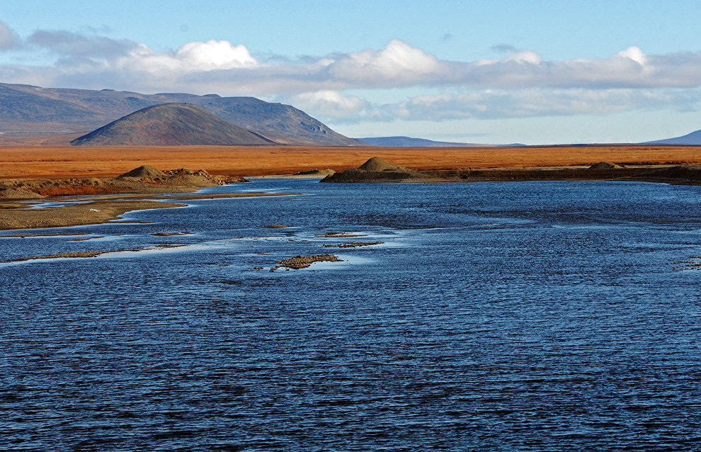 Russia and the United States to expand bioresource research in the Bering Sea and the Arctic