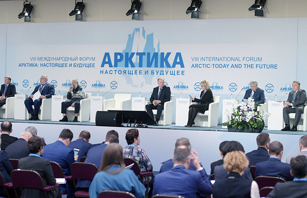 St. Petersburg authorities propose creating a state development program for the Arctic and Antarctica