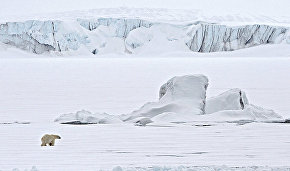 New state work-safety standard includes polar bear encounters

