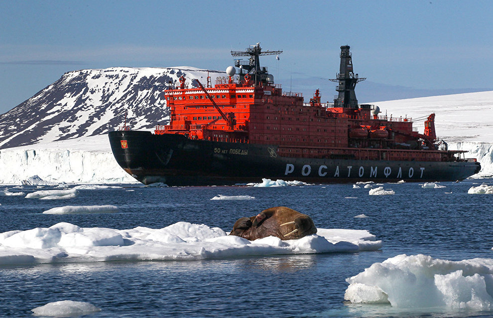Tourist flow expected to increase at Russian Arctic National Park in the new field season