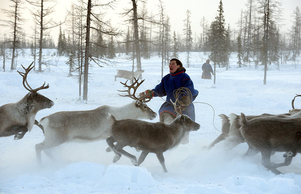 Standards for Arctic residents’ responsibility to indigenous minorities comes into force