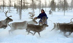 Standards for Arctic residents’ responsibility to indigenous minorities comes into force