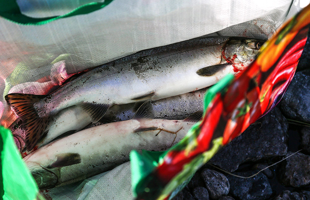 Association of small indigenous peoples wants traditional fisheries procedure explained
