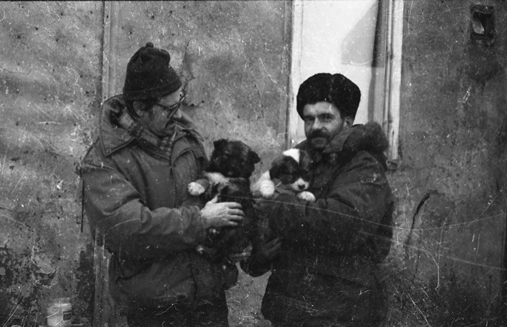 Polar explorers with puppies