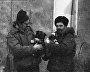 Polar explorers with puppies