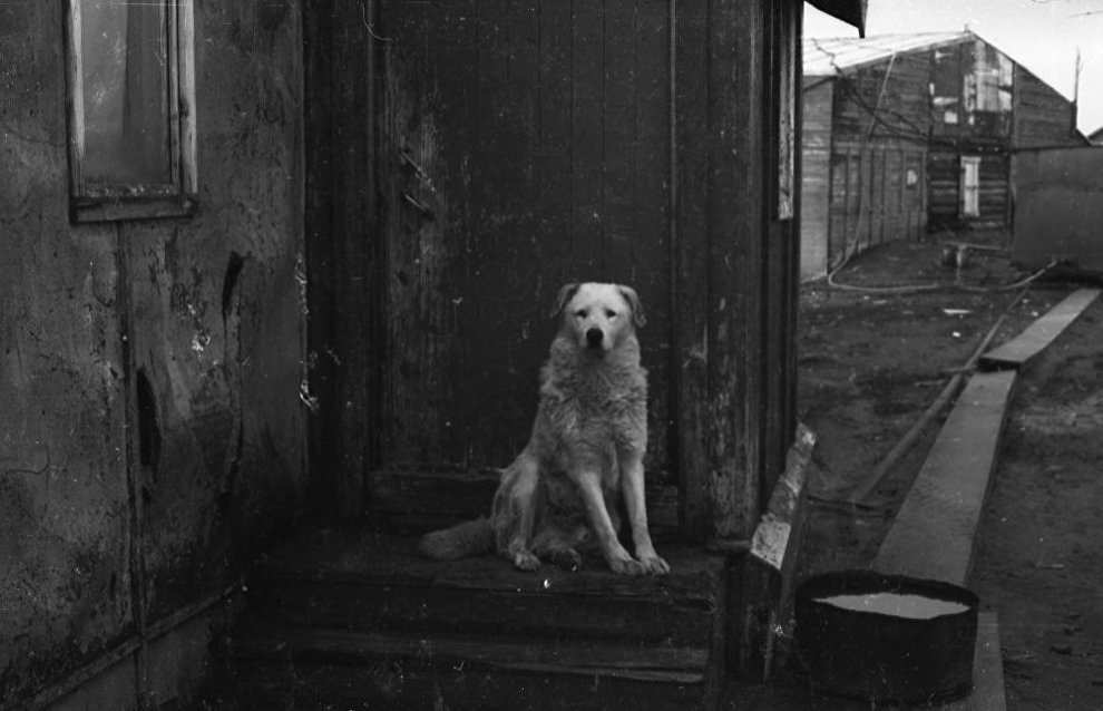 Observatory watchman