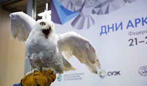 Opening of the Arctic Days in Moscow Federal Arctic Forum