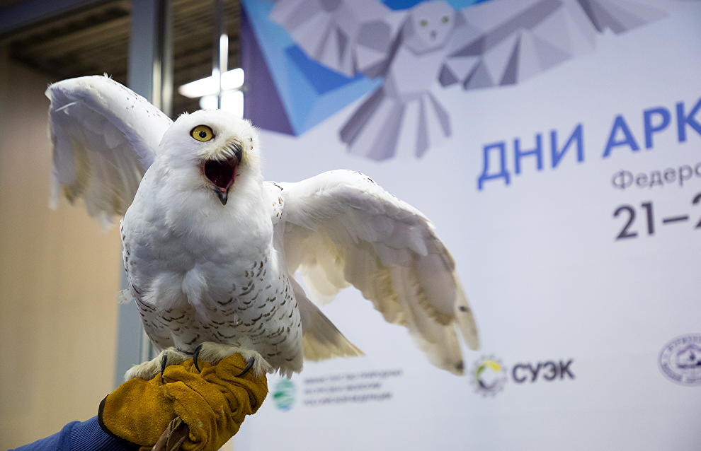 Opening of the Arctic Days in Moscow Federal Arctic Forum