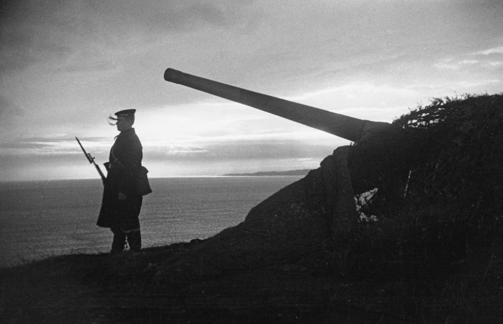 Wartime batteries found in Taimyr Peninsula