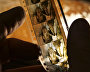 A film with stills from the movie Sannikov’s Land
