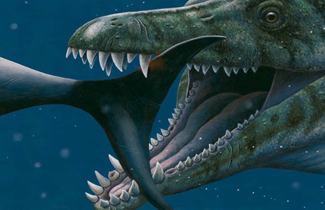 Spitsbergen monsters