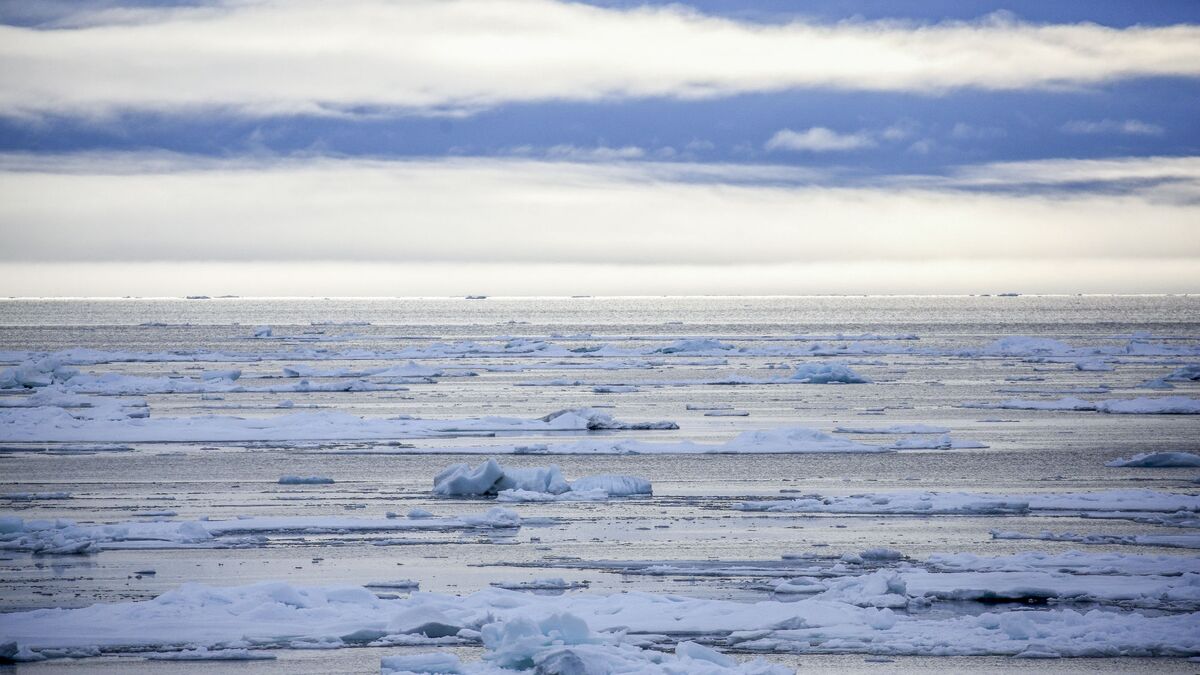 Moscow State University publishes new Arctic atlas – monograph 