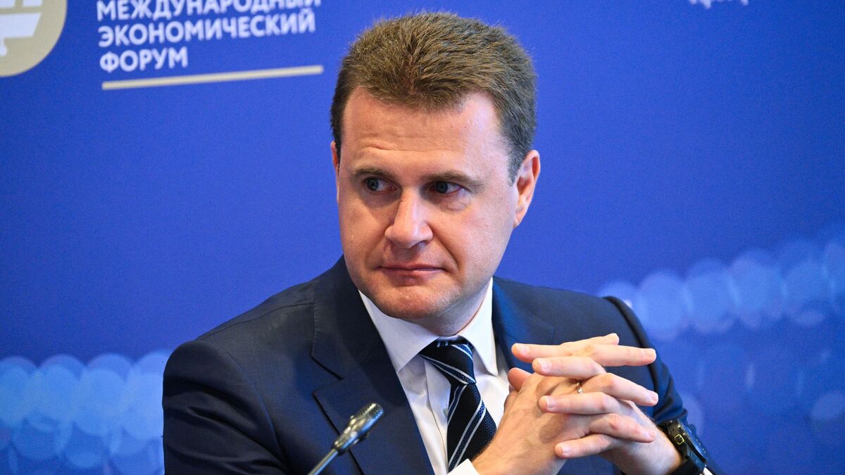 Minister for the Development of the Russian Far East and Arctic Alexei Chekunkov