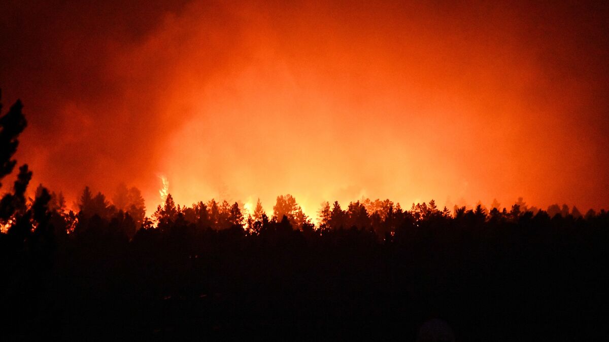 Scientists from Krasnoyarsk identify causes of forest fires in Siberia’s Arctic zone