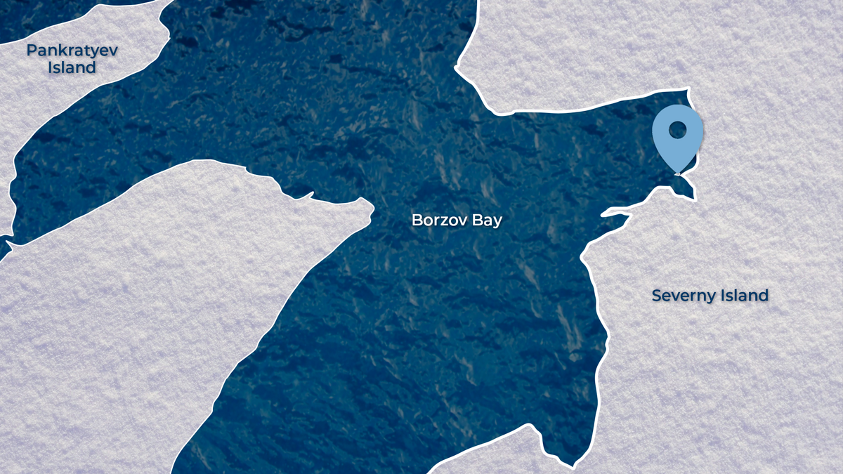 A new island has emerged off the coast of the Novaya Zemlya archipelago 