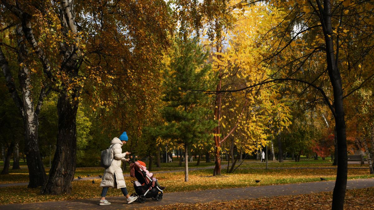 Yugra adopts new support measures for indigenous minority peoples of the North