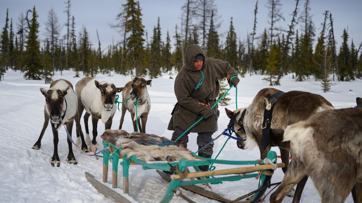 Government approves plan for implementing three-year Concept for the Sustainable Development of Indigenous Peoples of the North and Far Eastern Federal District