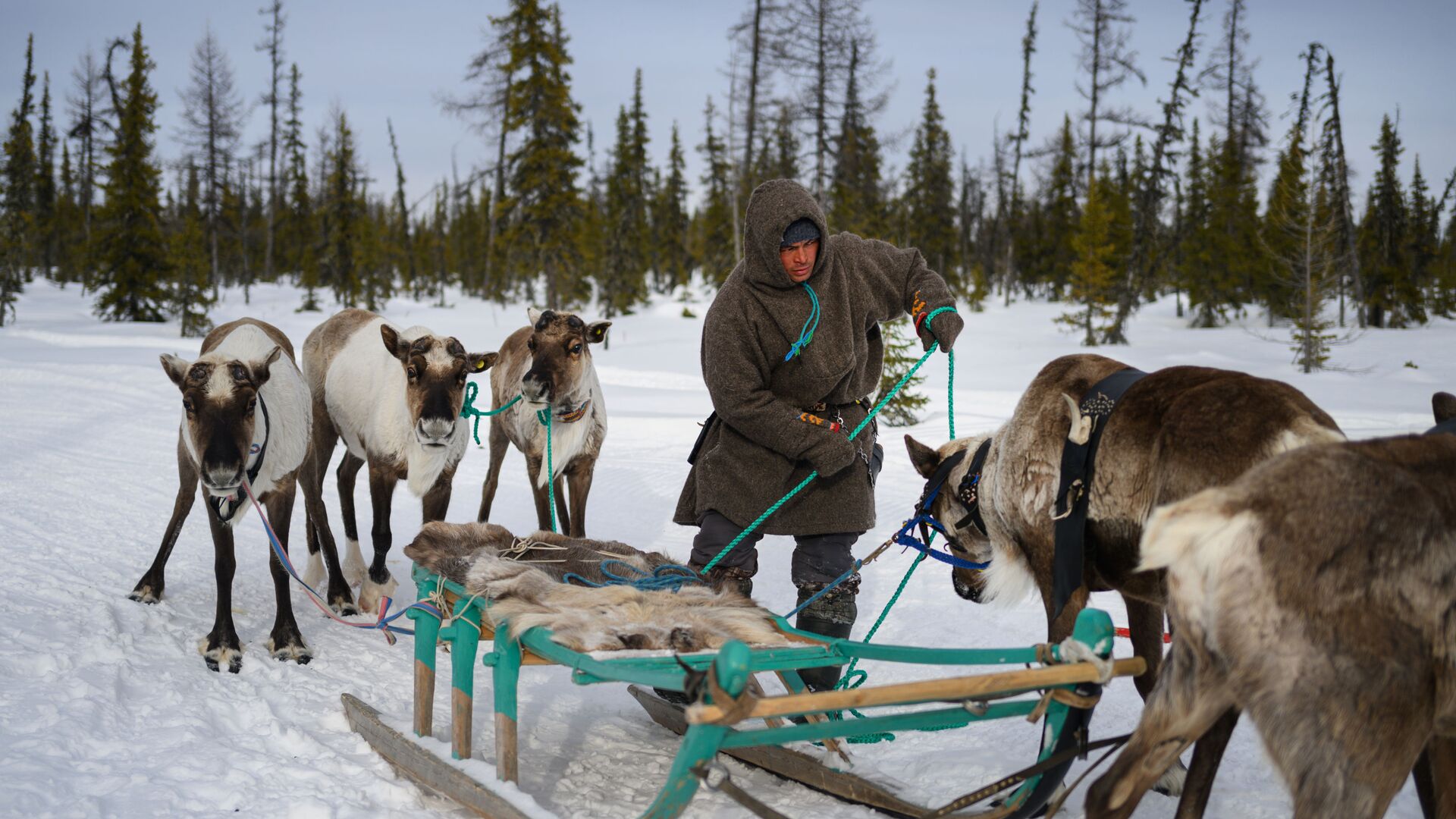 Government approves plan for implementing three-year Concept for the Sustainable Development of Indigenous Peoples of the North and Far Eastern Federal District - РИА Новости, 1920, 12.01.2026
