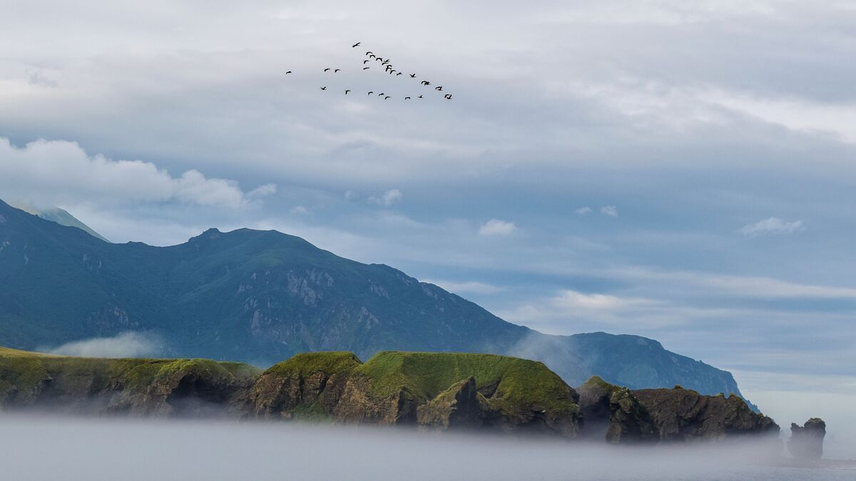 Fiftieth investor joins the special preferential regime on the Kuril Islands