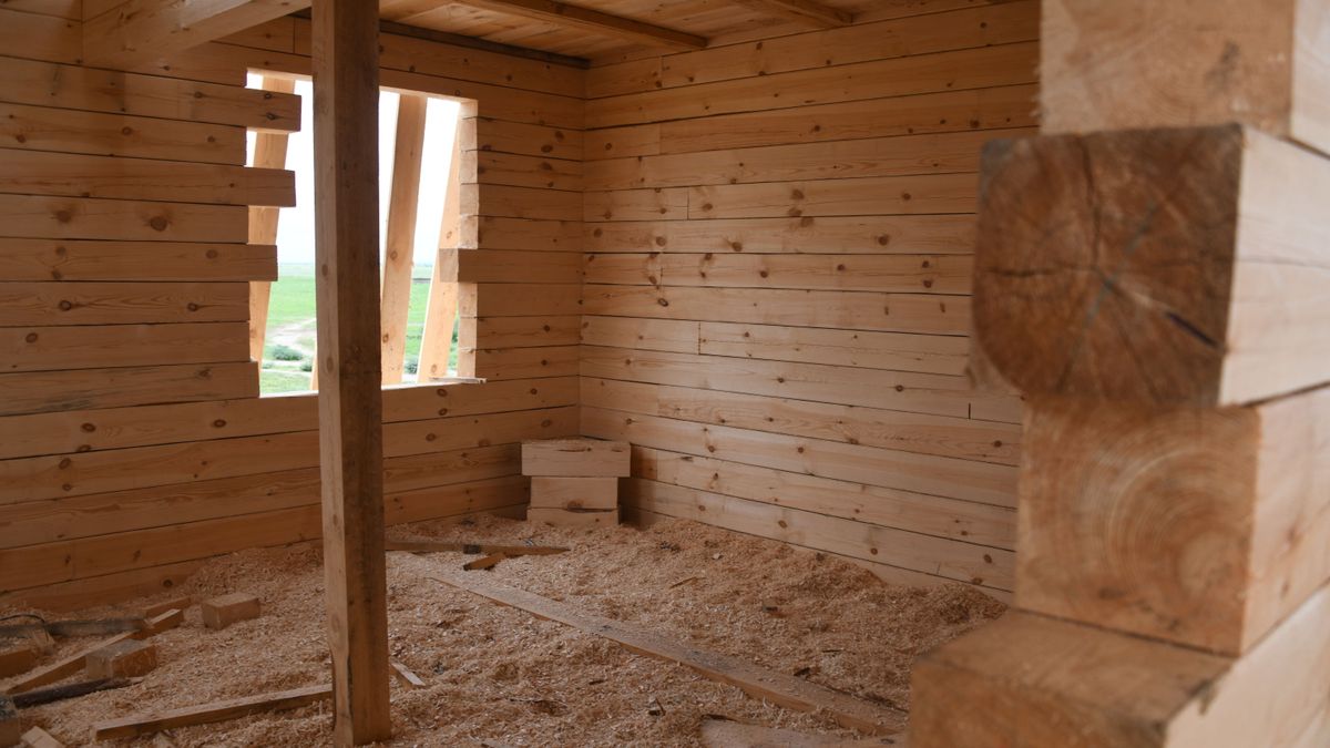 Yury Trutnev orders system of privileges for wooden home construction industry