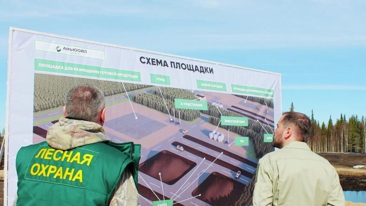 Komi to get 370 million rubles for new units of the aerial forest protection service