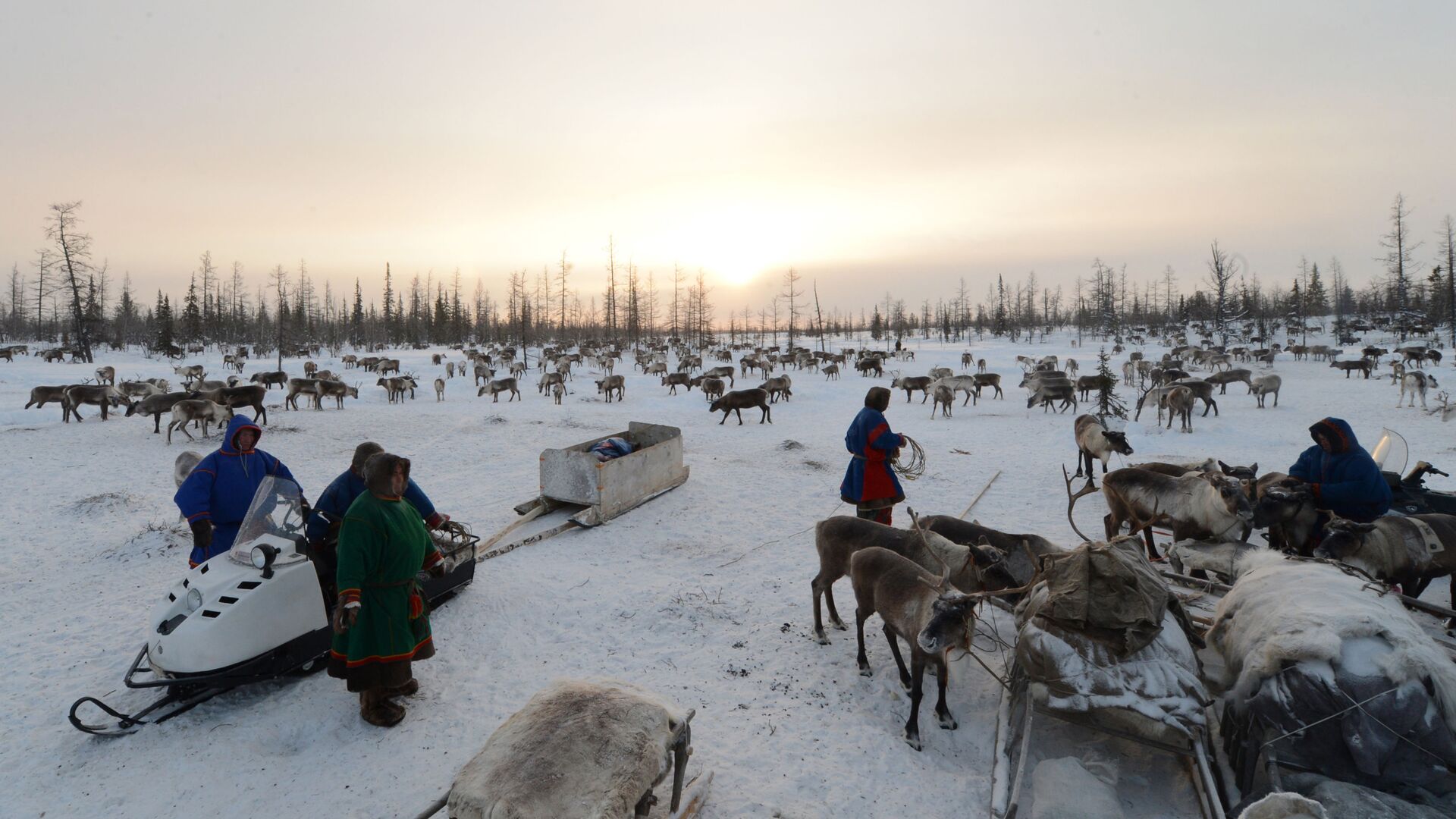  Nenets Autonomous Area reindeer breeders to receive over 60 vehicles from the Ministry for the Development of the Russian Far East and Arctic - РИА Новости, 1920, 28.11.2025