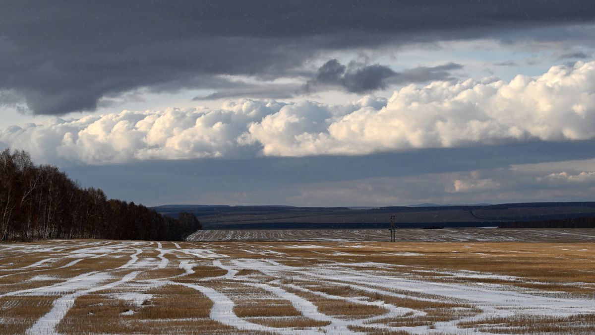 Boundaries of Arctic hectares to be adjusted in Krasnoyarsk Territory