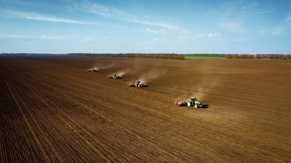 Trans-Baikal Territory’s farmers plant crops on over 13,000 hectares since early 2025