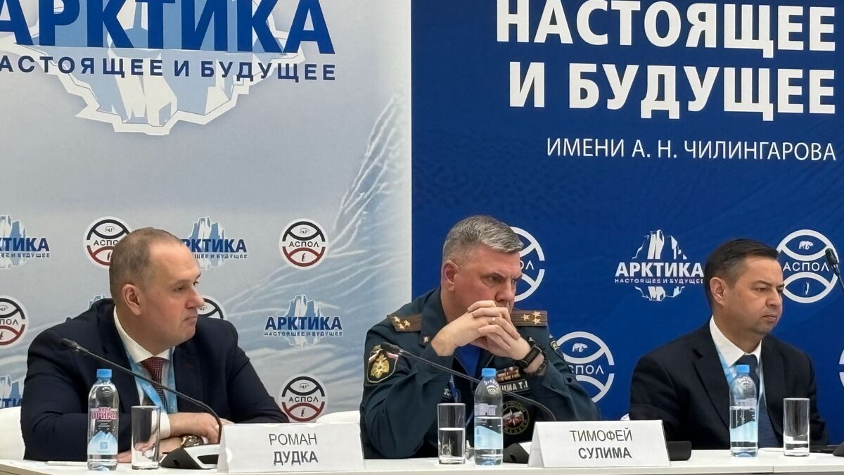 Four new EMERCOM centers to be established in Arctic