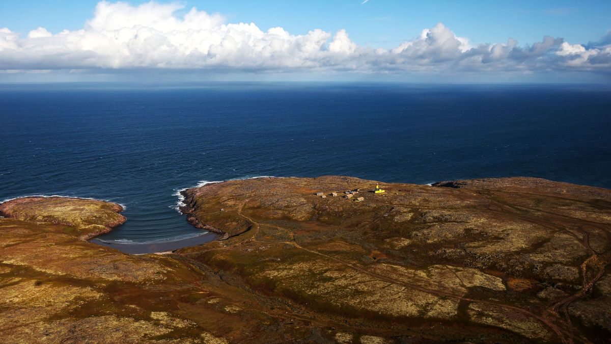 Scientists discover new invertebrate animal species in the Arctic