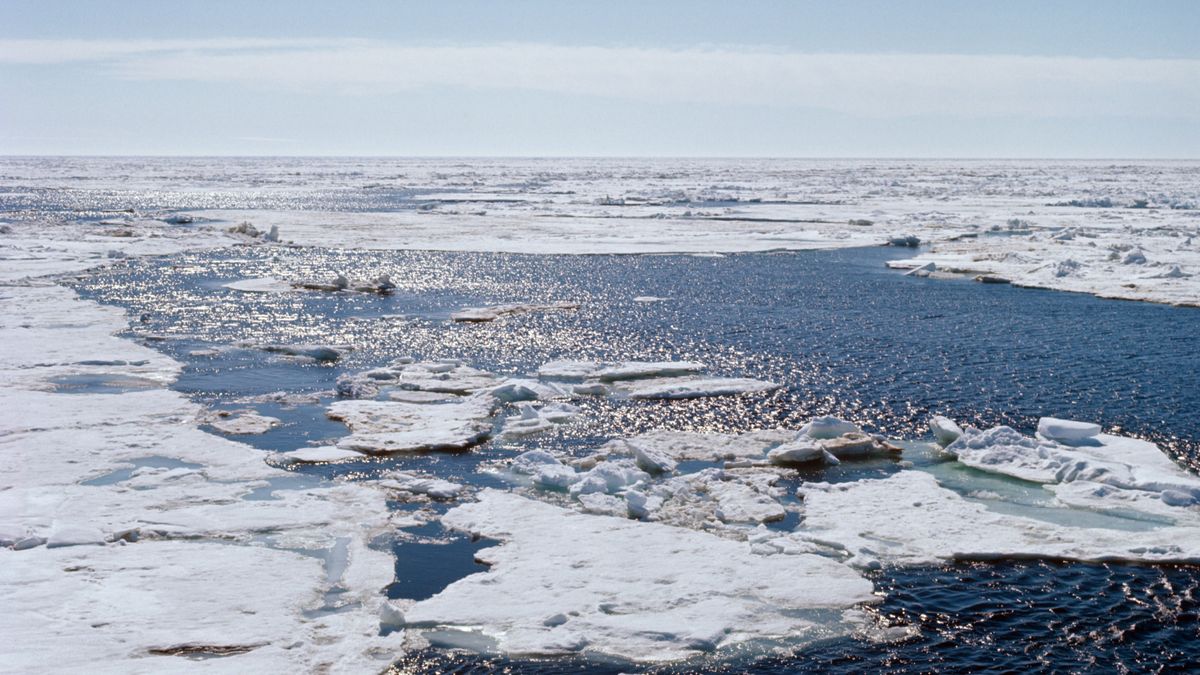 Russian scientists study wave processes on the Northern Sea Route