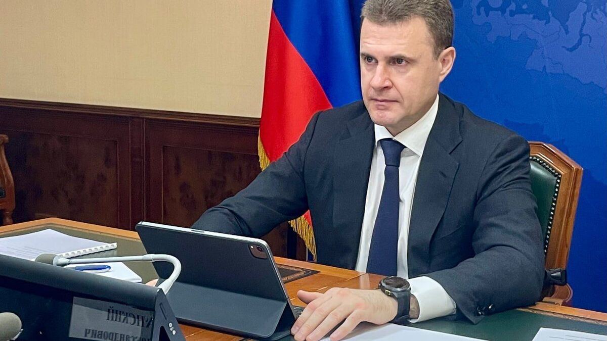 Minister for the Development of the Russian Far East and Arctic Alexei Chekunkov