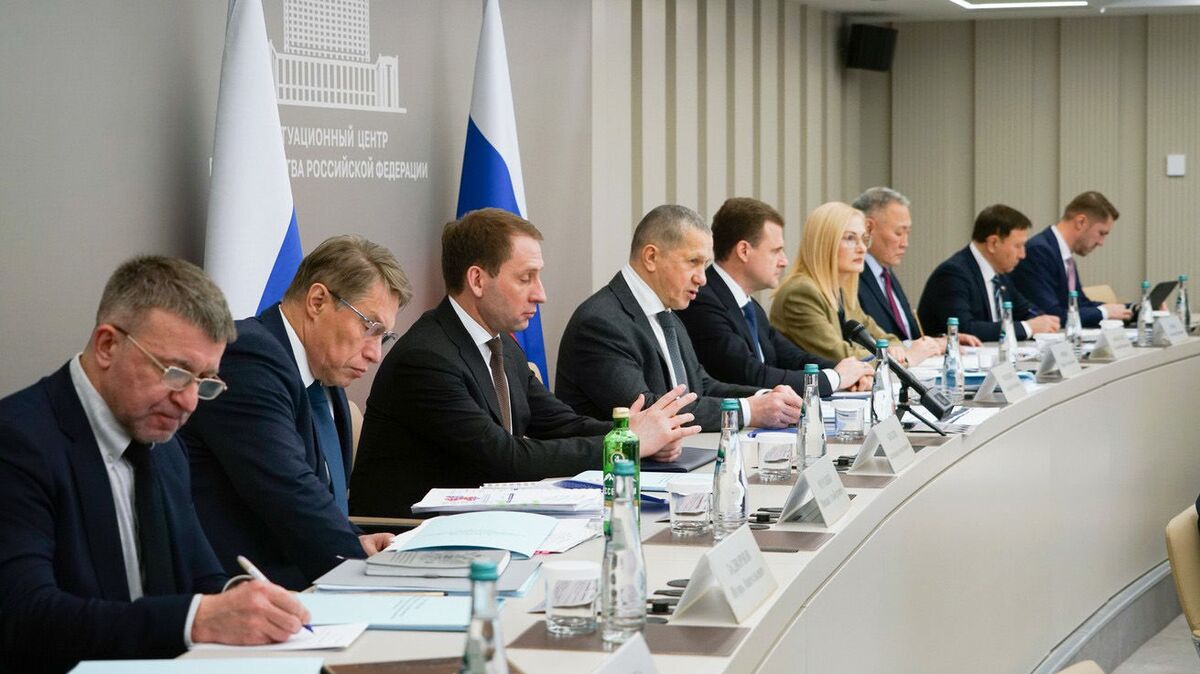 Government commission discusses healthcare and demography in the Russian Far East