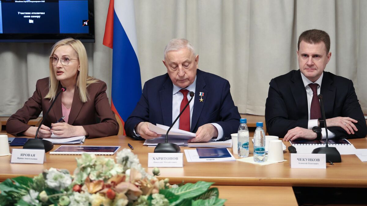 Duma discussed 10-year outcomes of the Far East and Arctic development